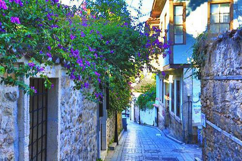 楚白莺夜轩小说章节免费阅读 楚白莺夜轩无弹窗