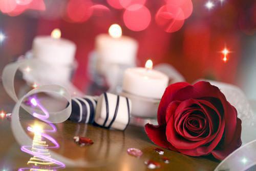 卿声陆宥齐厉听澜是什么小说的主人公 卿声陆宥齐厉听澜免费阅读