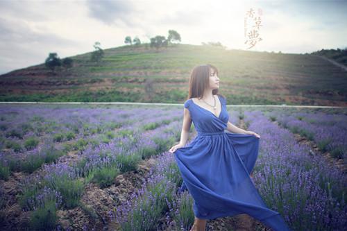 宋书意沈景翊小说在线阅读 宋书意沈景翊最新章节目录