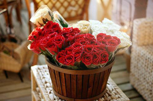 不做资助大冤种小说免费看 柳如烟王小艺张小倩完整版在线阅读