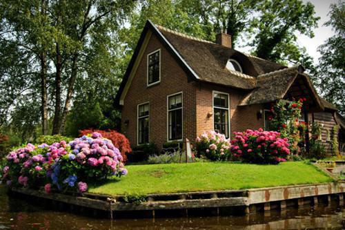 女儿死在为丈夫初恋买生日蛋糕的路上孟乔许时琛林佳佳完整版免费阅读