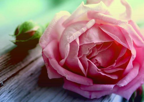 宋知微裴景深宋佳儿完整未删减版在线阅读 宋知微裴景深宋佳儿结局