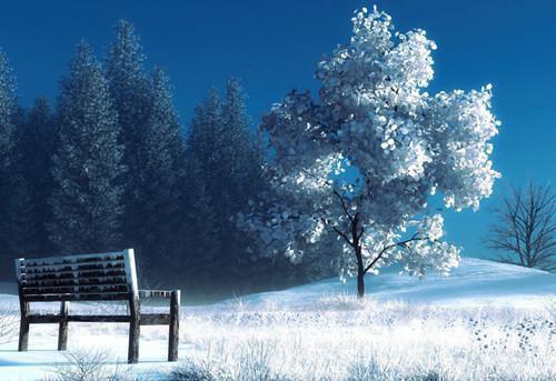 陈宸苏星悦小说全免读 陈宸苏星悦第23章在线阅读