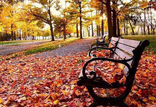 宋暖暖宋清清全文阅读 宋暖暖宋清清小说最新章节