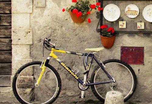 (最新)温瑾烁江州年小说完整版免费阅读