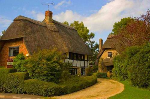 虞欣廖康叶田甜免费小说 虞欣廖康叶田甜在线阅读