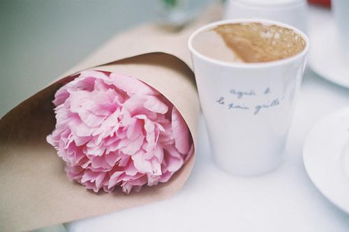 嬷嬷能看见弹幕 主角云霄锦桃小说