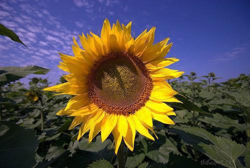 董戈菲袁家兴黎继伟免费全文 董戈菲袁家兴黎继伟小说在线阅读