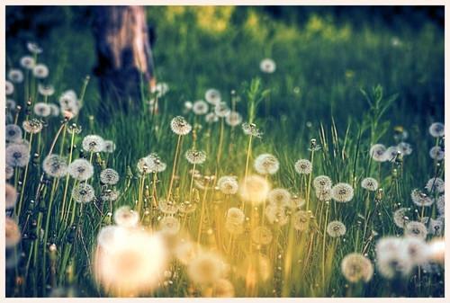 主角林娇娇卫佳绾林强小说免费阅读最新章节