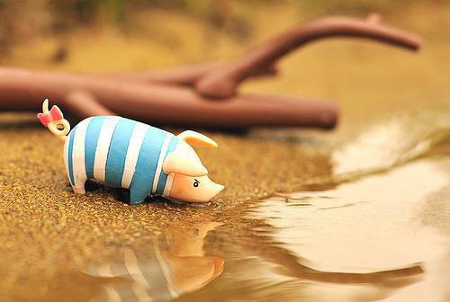 心机闺蜜要攻略我的追求者们我让她自食恶果在线阅读全文 李辰刘星若若无删减小说