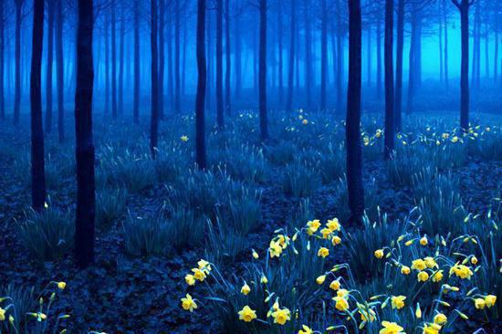 苏悦温棠免费阅读小说 苏悦温棠