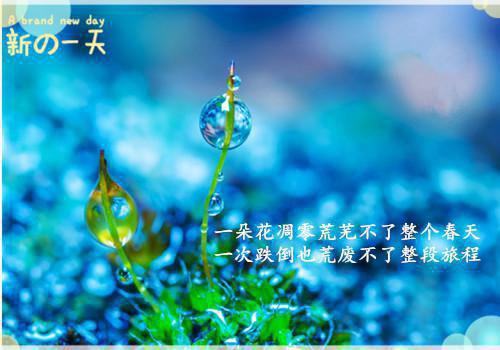 关山海小说目录 关山海完整免费版阅读