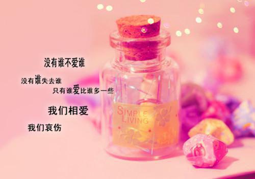 沈诺何悠悠全文免费大结局 沈诺何悠悠小说在线阅读