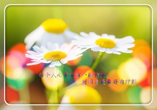 (抖音小说)江苓裴桓免费阅读第一章