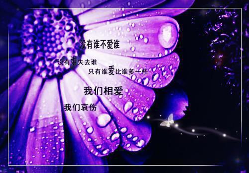 徐景清林屿(徐景清林屿)全文免费阅读无弹窗大结局_徐景清林屿免费阅读最新章节列表（徐景清林屿）