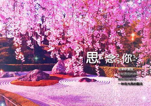 体验派妻子无广告 顺安林挽林晓在线免费阅读