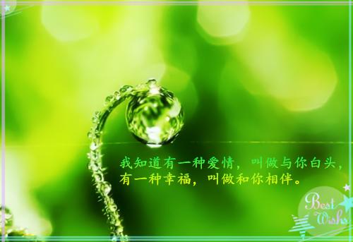 乔暖小敏小说叫什么 乔暖小敏小说全文免费阅读