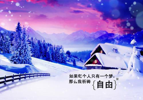 被爸爸的罪犯杀死后，法医妈妈解剖我免费无弹窗 严霜林雪小说阅读