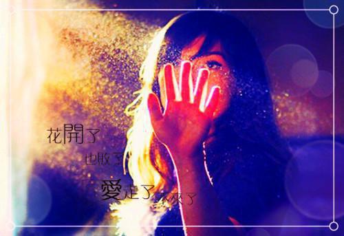 顾景琛江欣然全文免费阅读最新 顾景琛江欣然