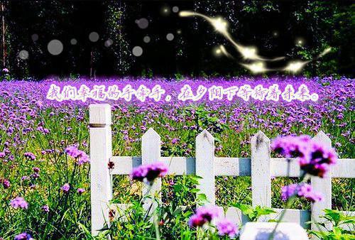 霍教授上瘾后，温小姐不撩了文章精选（霍远琛温黎）已完结，霍教授上瘾后，温小姐不撩了文章精选已完结