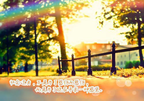 李沐沐章廷张清全文阅读 李沐沐章廷张清小说最新章节