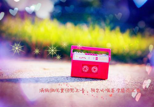 老婆带白月光砸了我的灵堂宋意曹维徐思思小说最新章节(在线阅读)