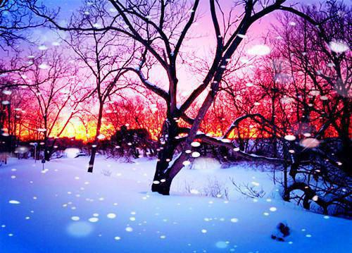 周泽承杜若夏至小说全文阅读 周泽承杜若夏至第2章