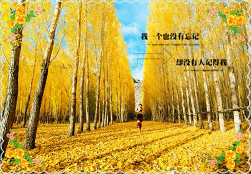 安云兰周曜王慧最新篇章 周曜，信我一次就那么耻辱吗？全本免费阅读