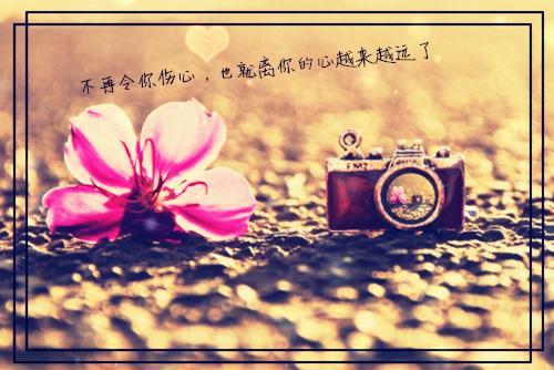 颜翘厉骁小说全文免费阅读，颜翘厉骁最新章节