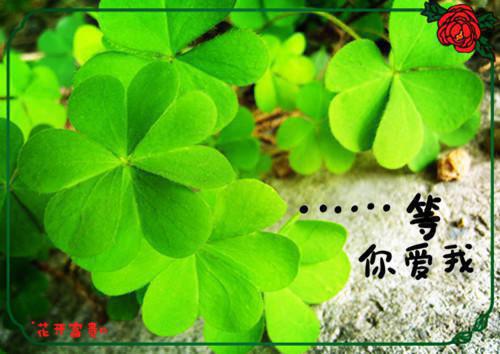 江渊江悦小说 江渊江悦免费全文阅读