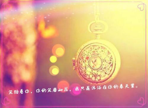 阮洛倾温祁年小说 阮洛倾温祁年免费章节阅读