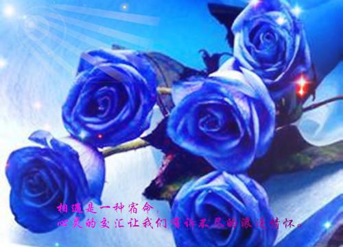 看破闯心小说全文免费阅读(江知之傅深)全文免费江知之傅深读无弹窗大结局_(看破闯心小说江知之傅深)看破闯心小说免费江知之傅深读无弹窗最新章节列表(江知之傅深)