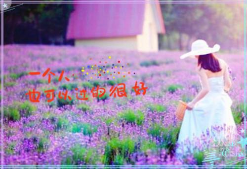 秦遇柳酥酥江雪免费全本小说 秦遇柳酥酥江雪章节目录