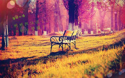 傅时琛柳茵茵顾安然是什么小说的主人公 傅时琛柳茵茵顾安然免费阅读