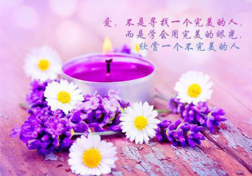 （全文）+（番外）宋宁谢临洲小说免费阅读-宋宁谢临洲宋宁谢临洲小说在哪里可以看