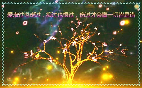 邵槿辰孟映风大结局在线阅读 真心的付出，换来的只有无尽的等待全本免费看