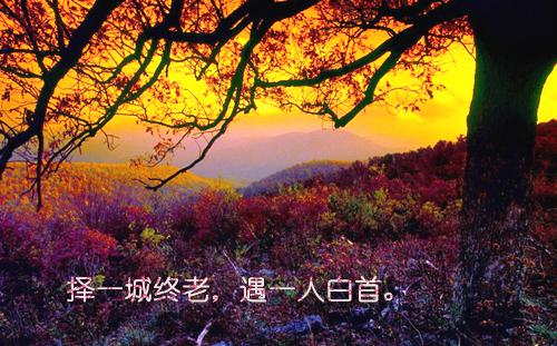 沈瑶童渺渺顾诚小说章节免费阅读 沈瑶童渺渺顾诚无弹窗