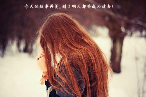 顾月顾淮清是啥小说 顾月顾淮清免费阅读无广告