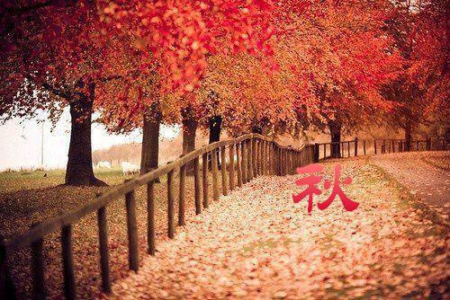 姜芷夏清扬萧向意小说 姜芷夏清扬萧向意全文免费阅读