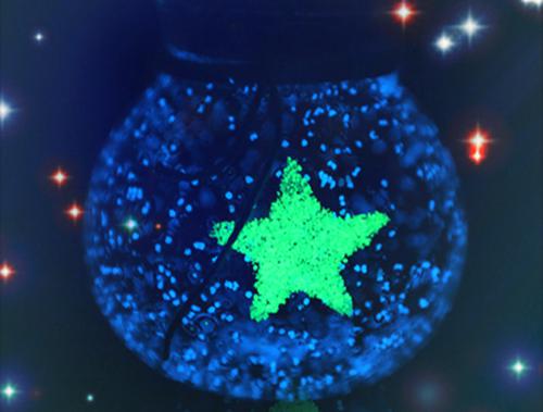 柳如烟罗天最后结局 柳如烟罗天完结版免费阅读