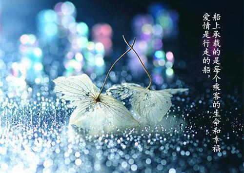 主角名是程梦瑶凌墨城全文免费阅读正版