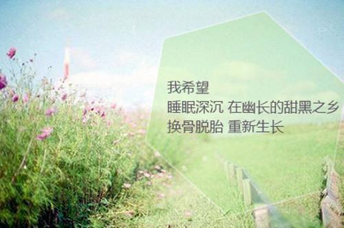 关舒淼沈奕然是哪部小说的主角 关舒淼沈奕然全文阅读