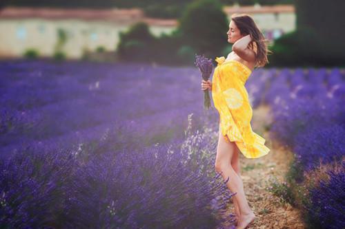 黎凝儿沈行南陈芳瑶小说 黎凝儿沈行南陈芳瑶完整版免费阅读