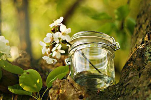 血染龙都小说热门章节免费阅读_血染龙都最新章节列表