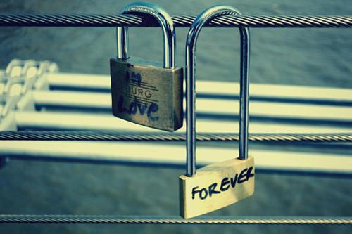 重阳月风（新婚夜，我被疯批太子扫地出门）最火言情小说免费观看-小说新婚夜，我被疯批太子扫地出门（重阳月风）今日已更新最新章节