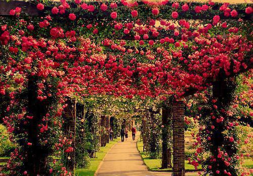 宋疏瓷徐羿尧免费阅读无弹窗 宋疏瓷徐羿尧最新章节