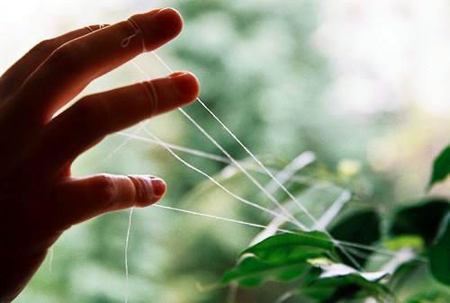 (完整版)郁如歌温鹤白小说免费阅读无广告