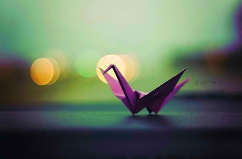 苍祈苍黎是什么小说 苍祈苍黎全本免费阅读