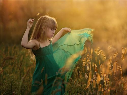 太后想摆烂陆绾绾免费章节在线阅读