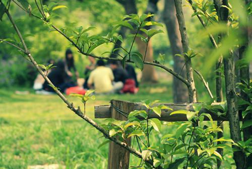 恋爱脑重生后反杀狗男女免费阅读全本 林小丽沐白苏幻儿未删节小说